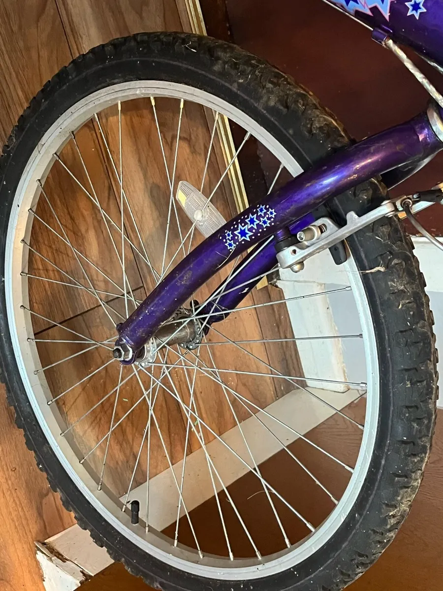 Raleigh Childs bike - Image 4