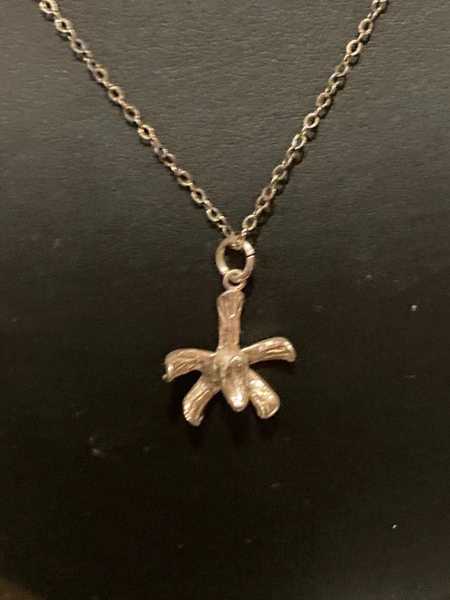 Sterling Silver pendant and chain - Image 1