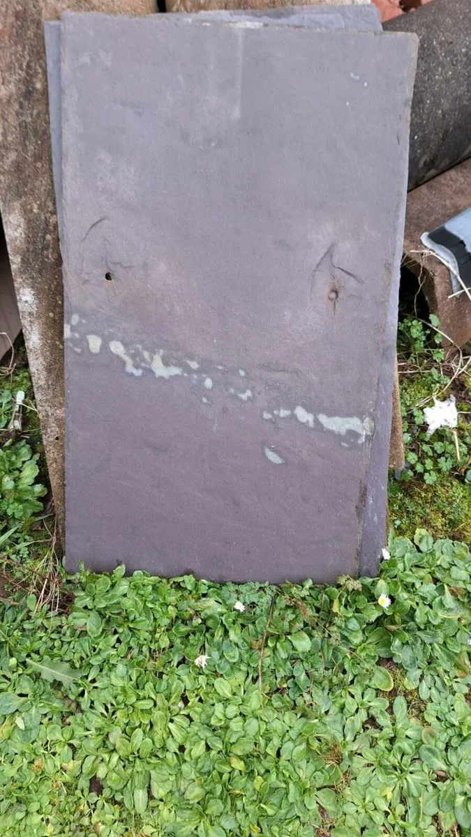 Roof Tiles and ridge tiles - Image 4