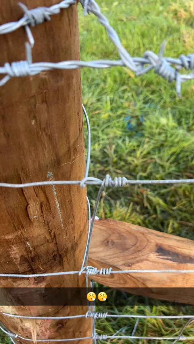 Fencing Contractor - Image 2