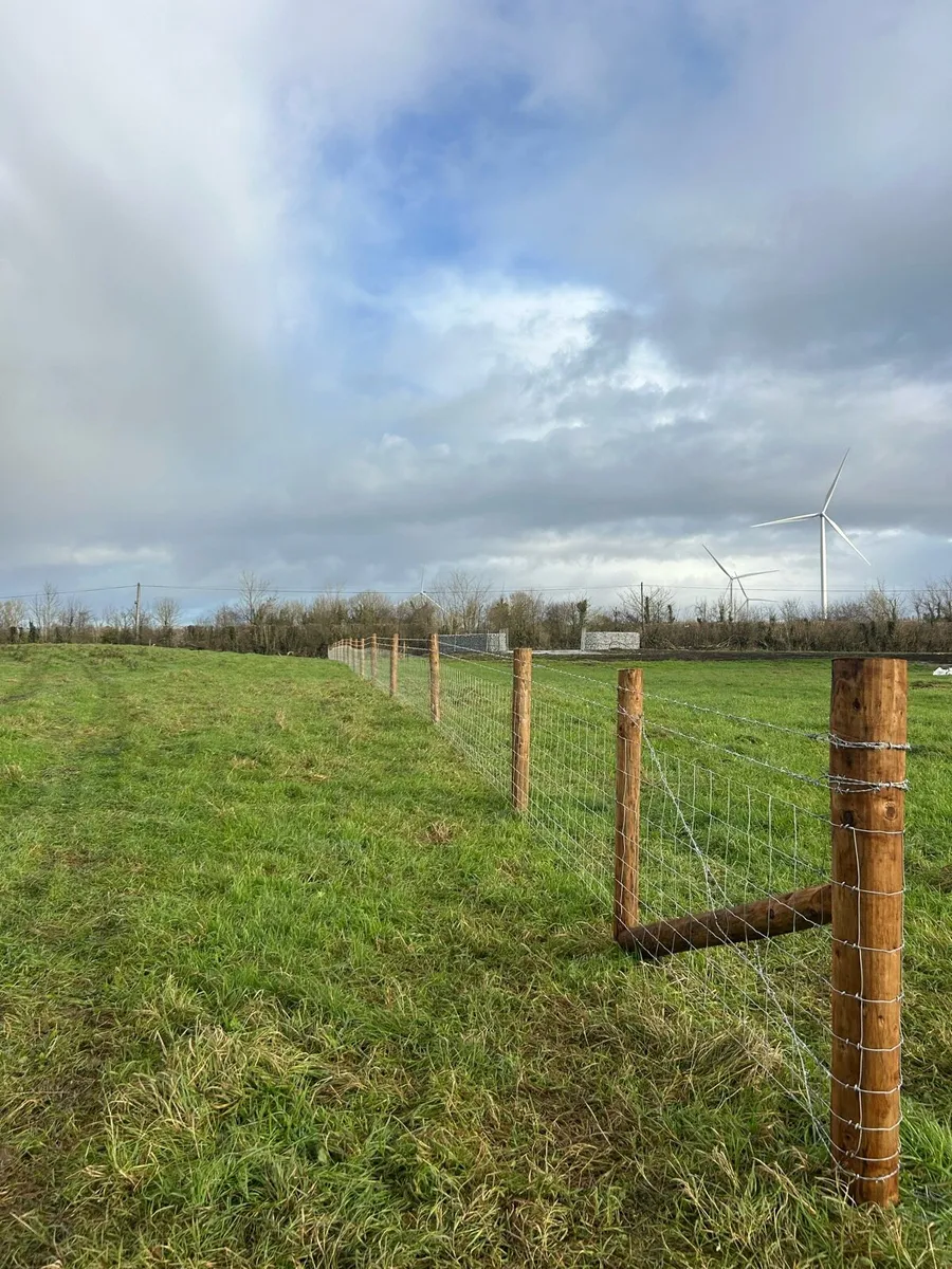 Fencing Contractor - Image 3