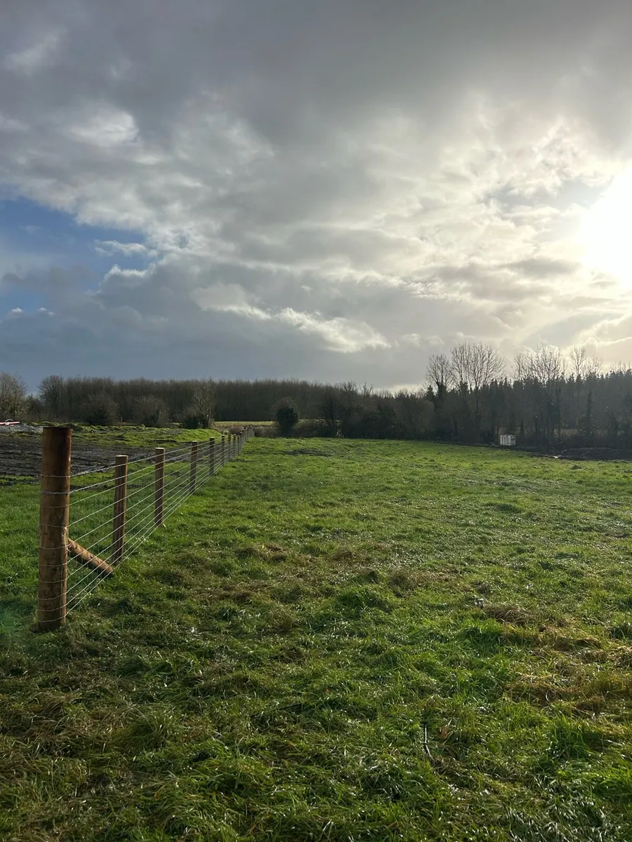 Fencing Contractor - Image 4