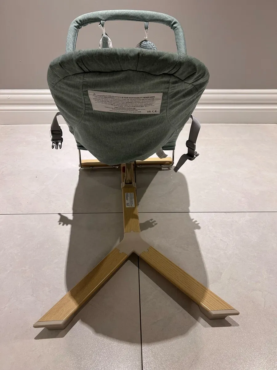 Baby Bouncer - Image 2