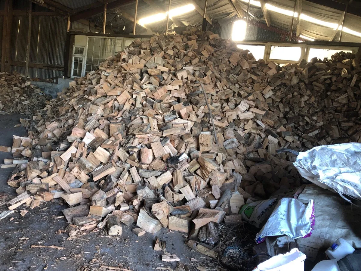 Firewood - Image 2