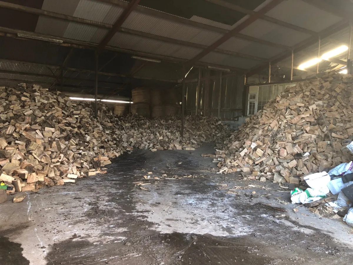 Firewood - Image 3