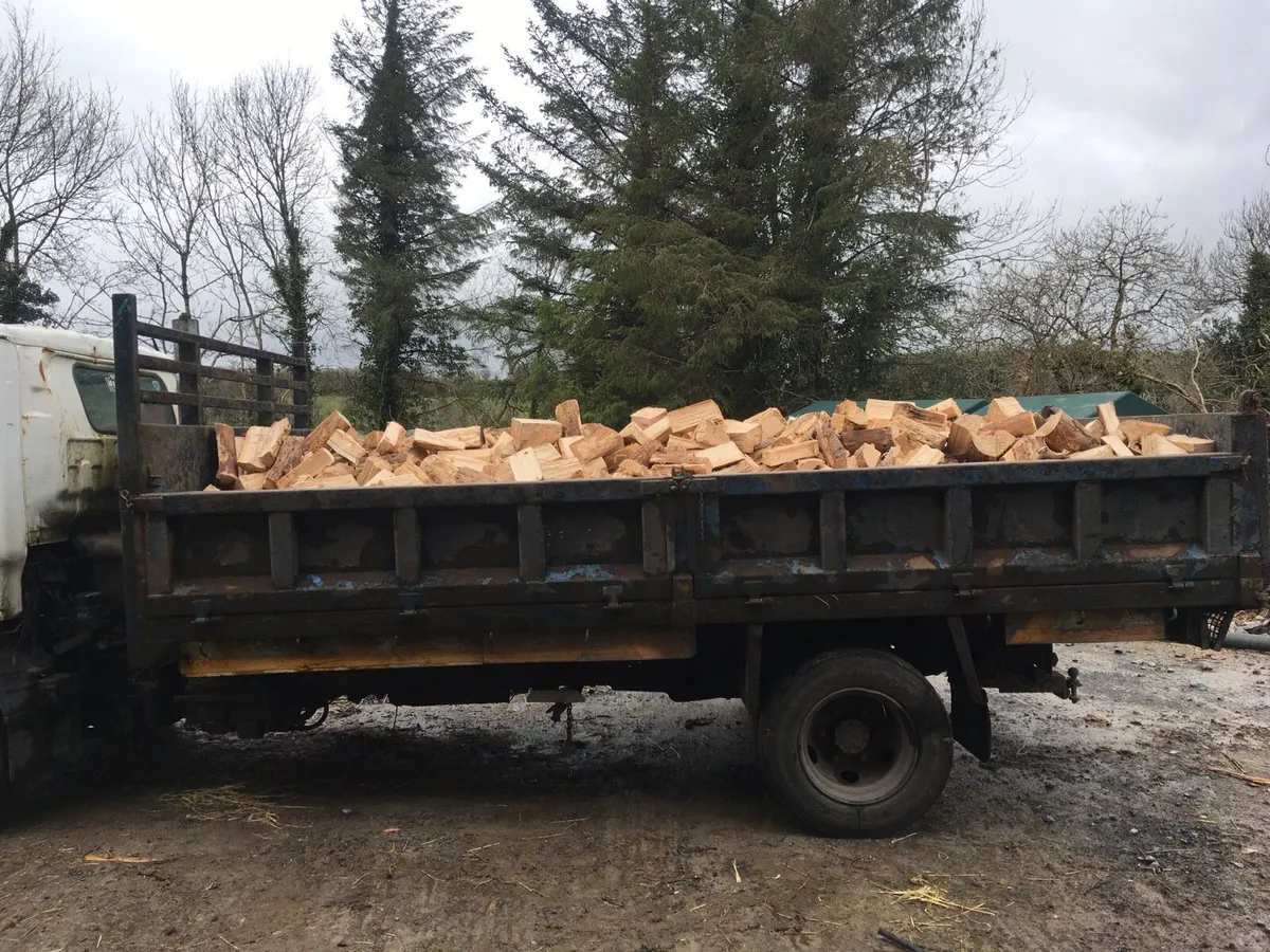 Firewood - Image 1