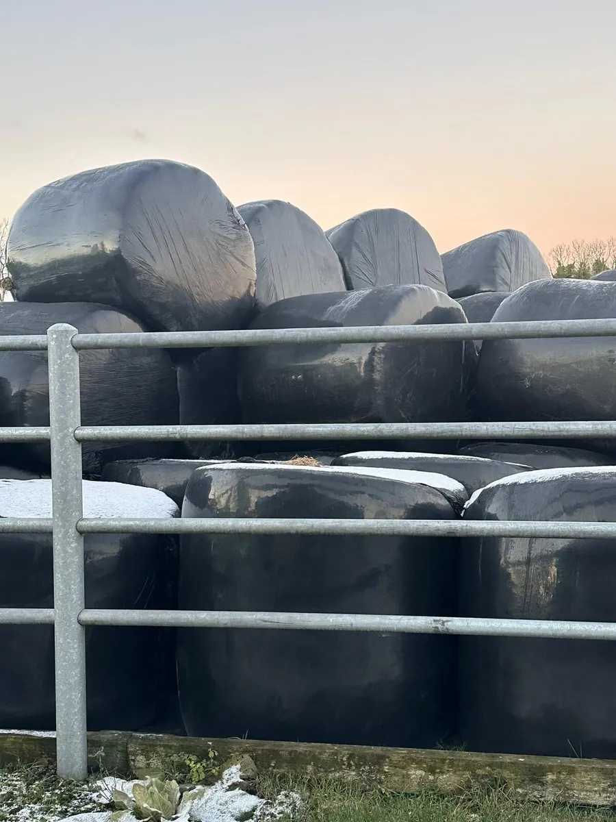 Silage bale (🚨For Sale🚨) - Image 1