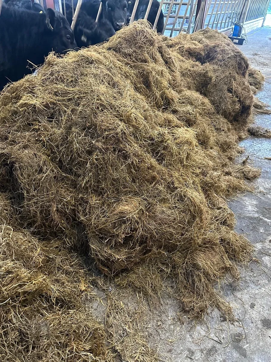Silage bale (🚨For Sale🚨) - Image 2