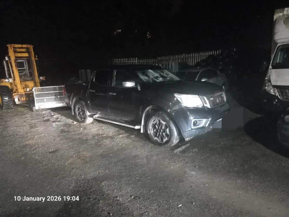 Nissan navara - Image 2