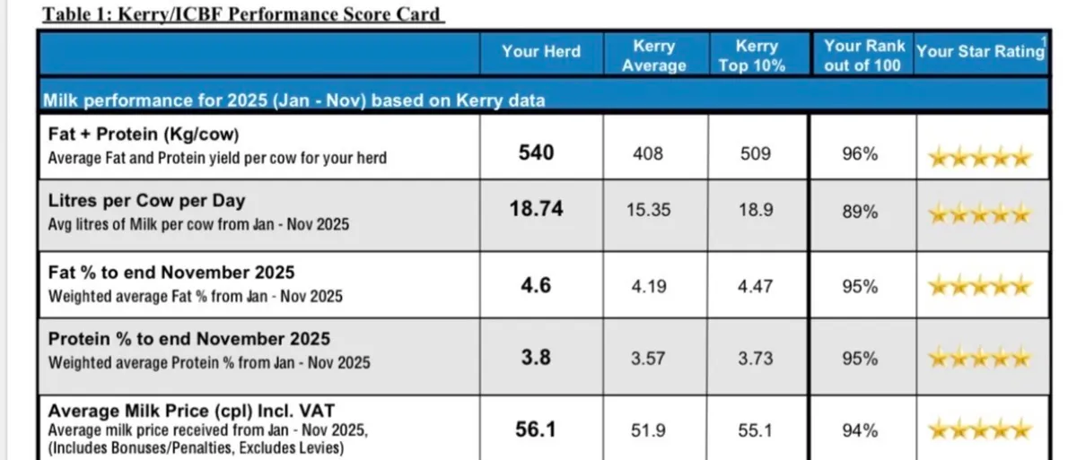 Cows For Sale - Image 1