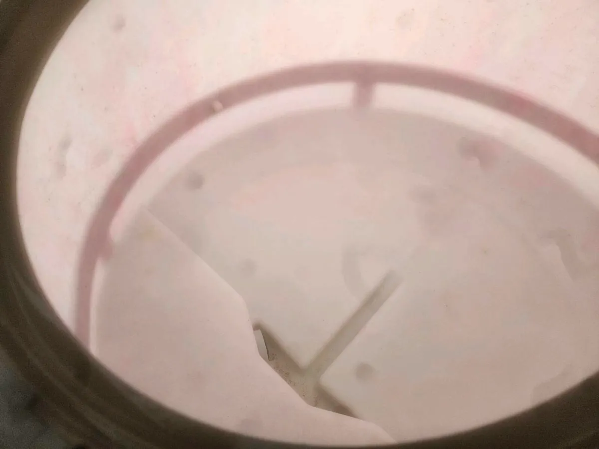 Calf feeder - Image 4