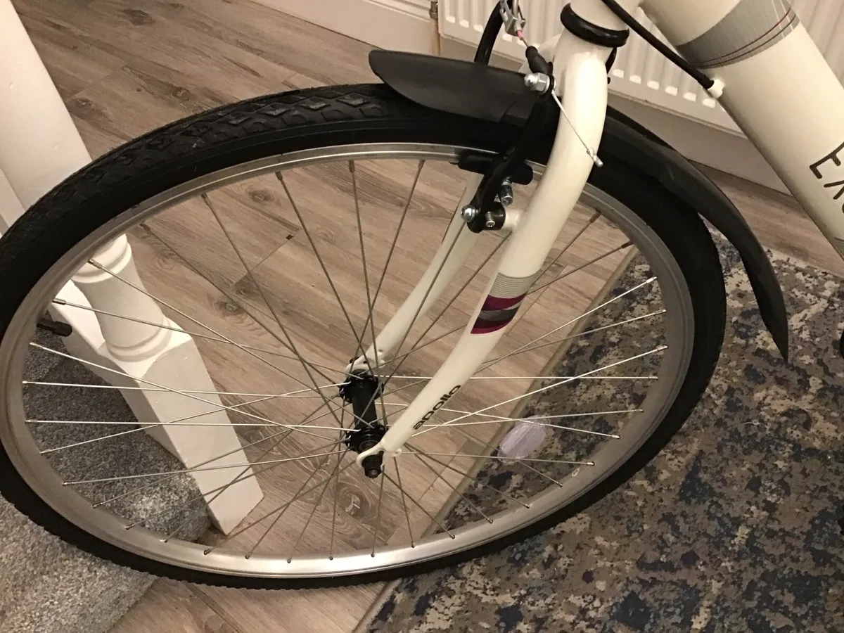 New Bike - unused/ unwanted present - Image 4