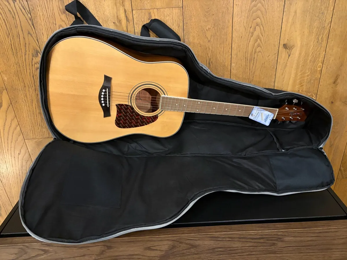 Graphtech Guitar and carry bag - Image 2