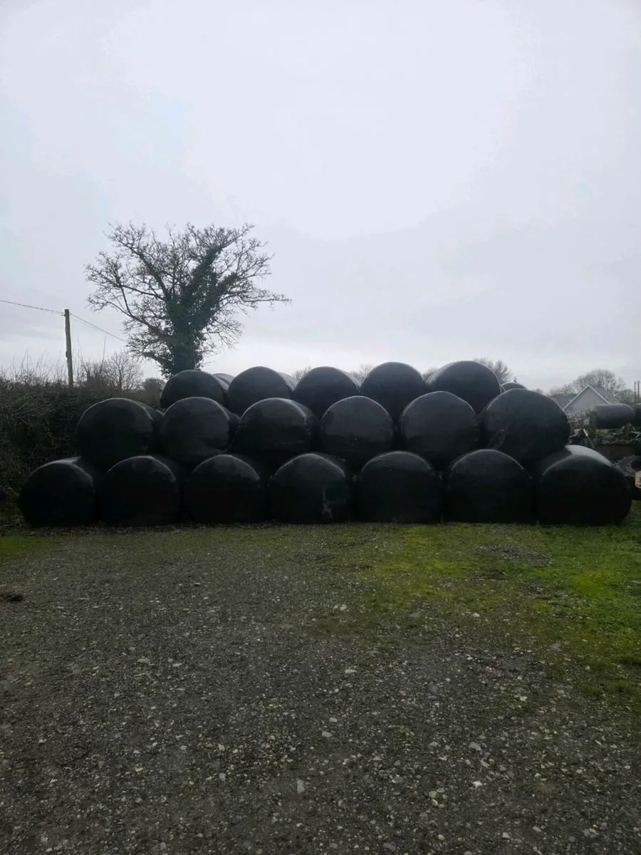 Silage Bales - Image 1