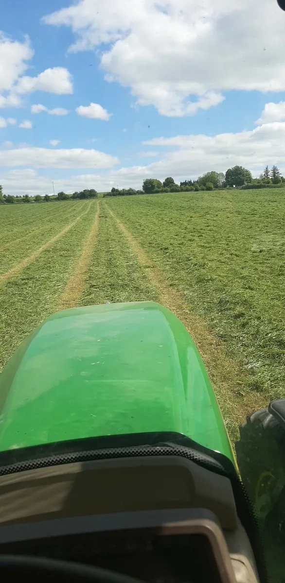 Silage Bales - Image 2