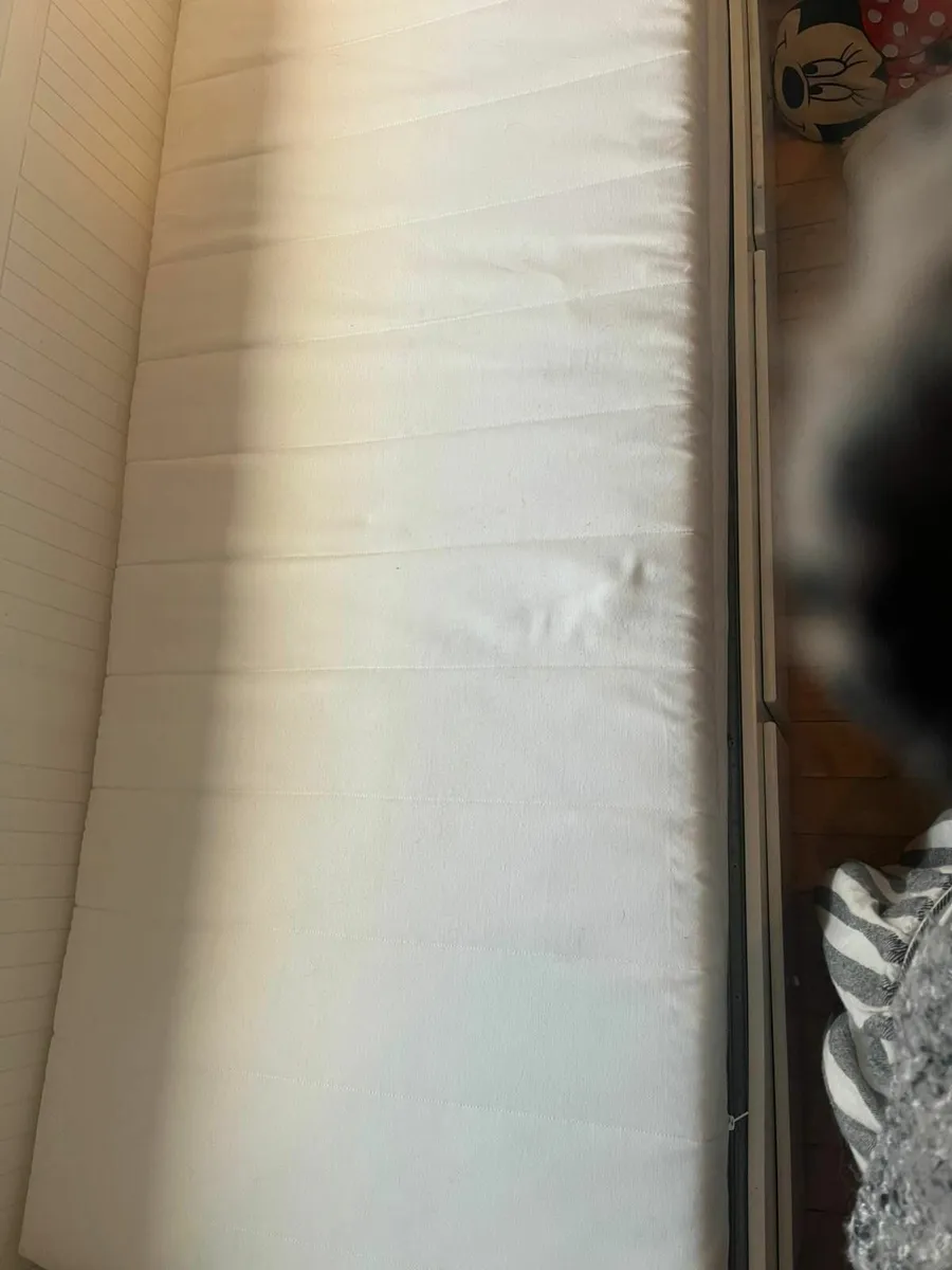 Ikea Hemnes Daybed - Image 3