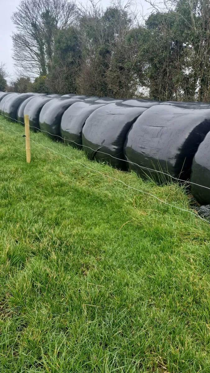 Good Quality Round Bales - Image 1