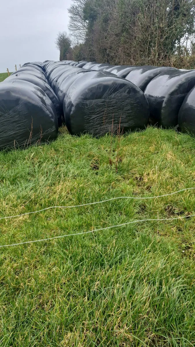Good Quality Round Bales - Image 2