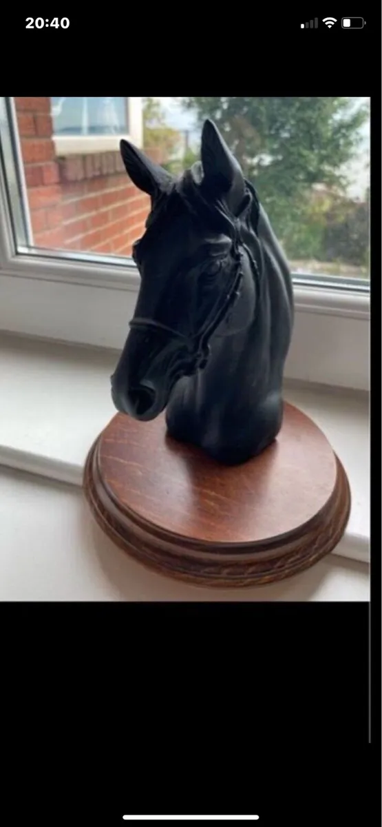 Vintage Horse head Display - Image 1