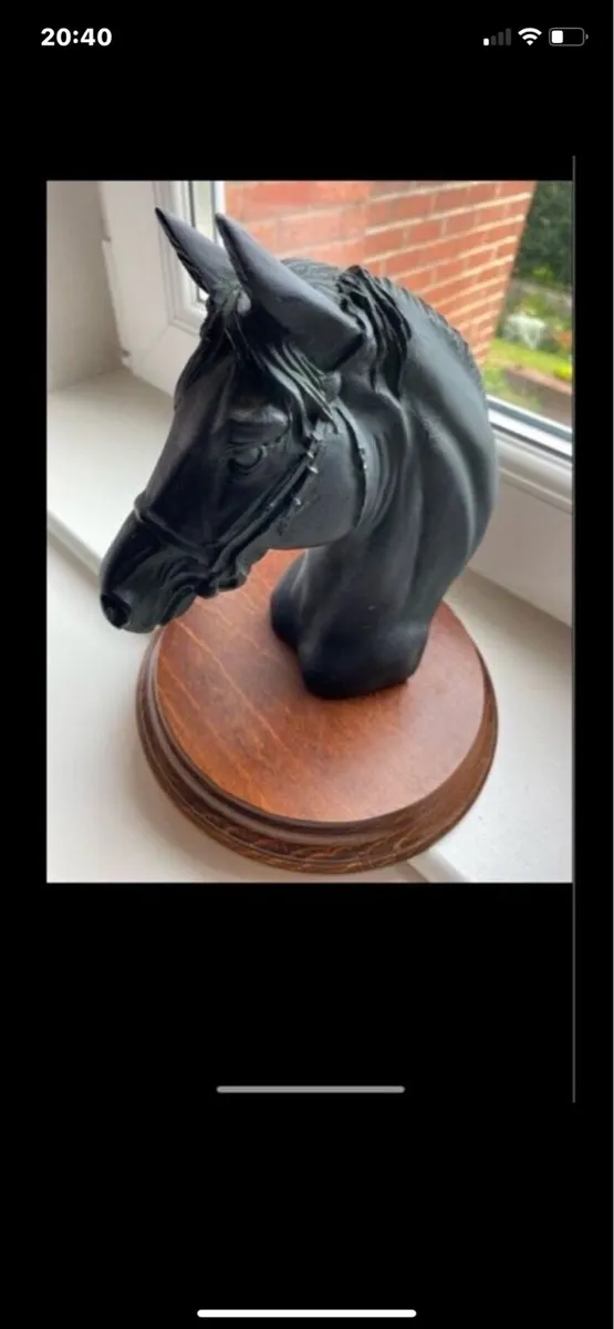 Vintage Horse head Display - Image 2