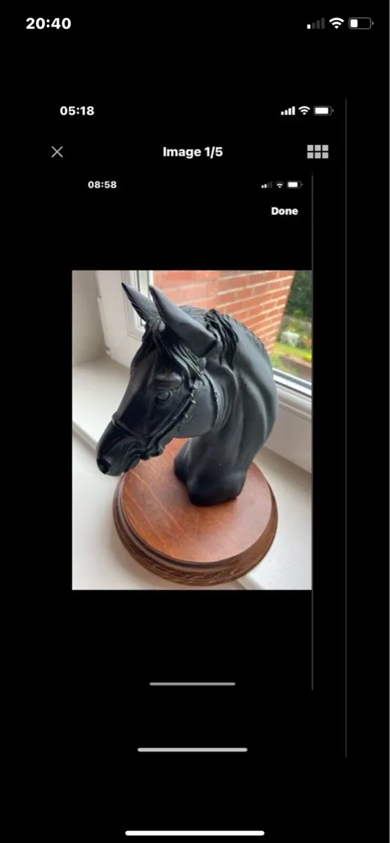 Vintage Horse head Display - Image 3