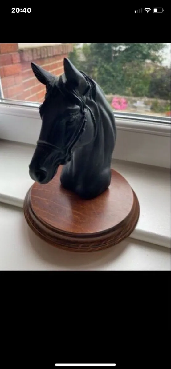Vintage Horse head Display - Image 4