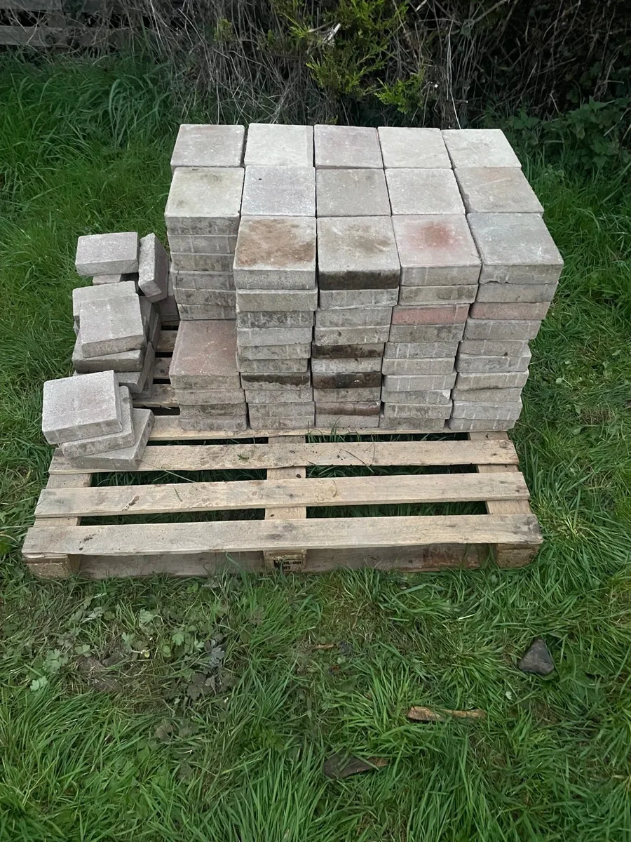 Patio slabs/ bricks - Image 1