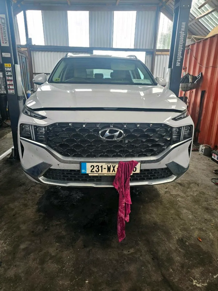 Hyundai and kia Dpf +Ad blu delete - Image 4