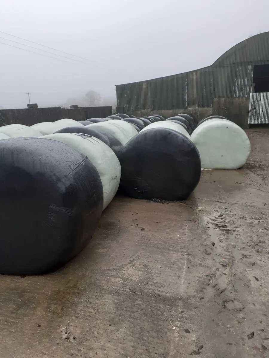 Organic silage bales - Image 1