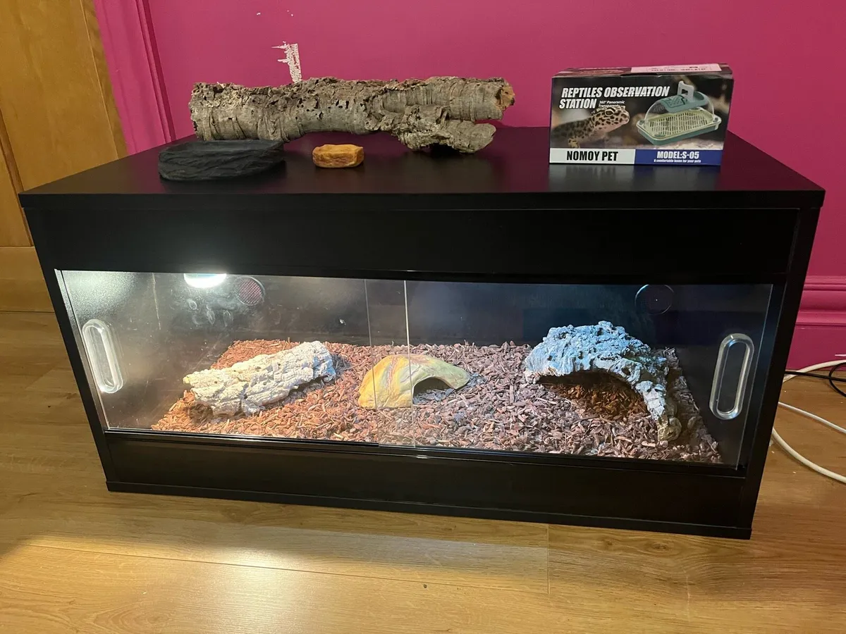 Reptile Vivarium - Like New! - Image 1