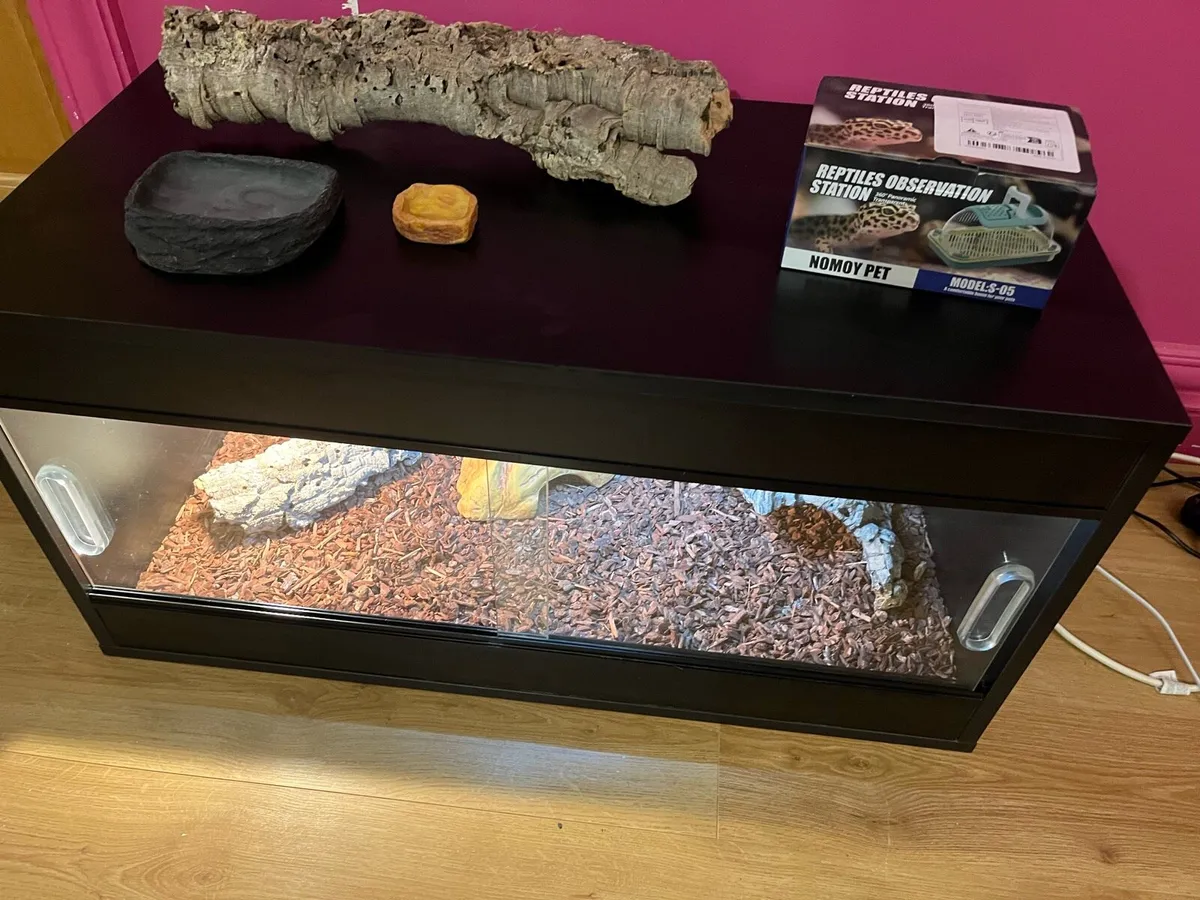 Reptile Vivarium - Like New! - Image 3
