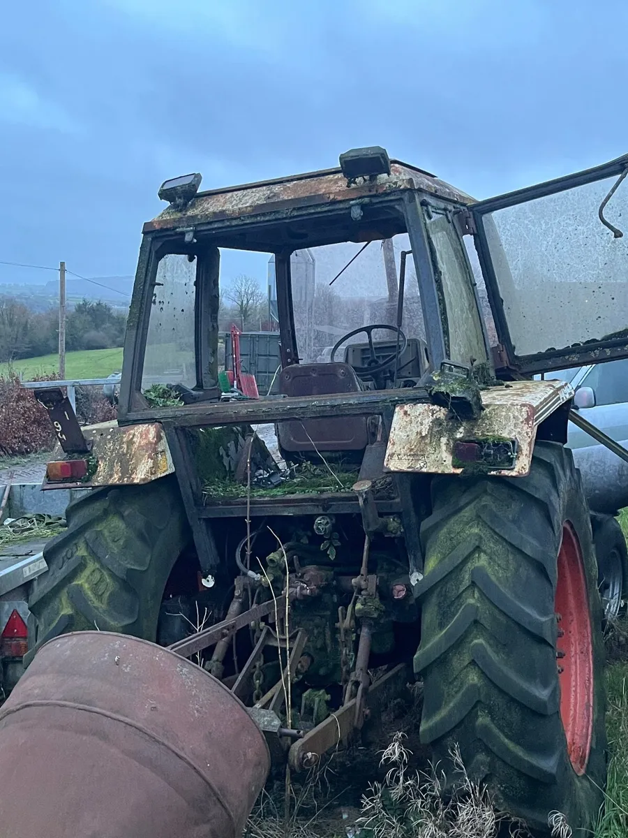 David Browne - Image 3