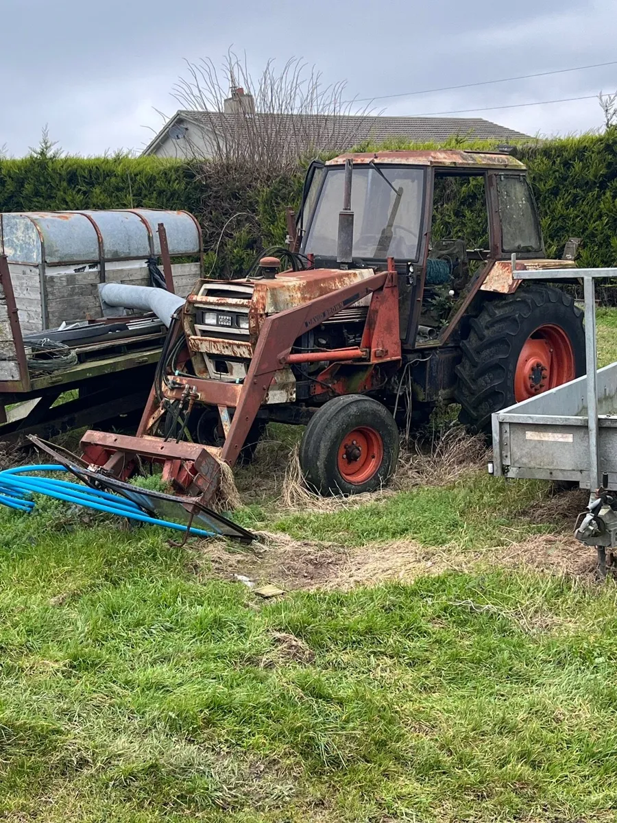 David Browne - Image 1