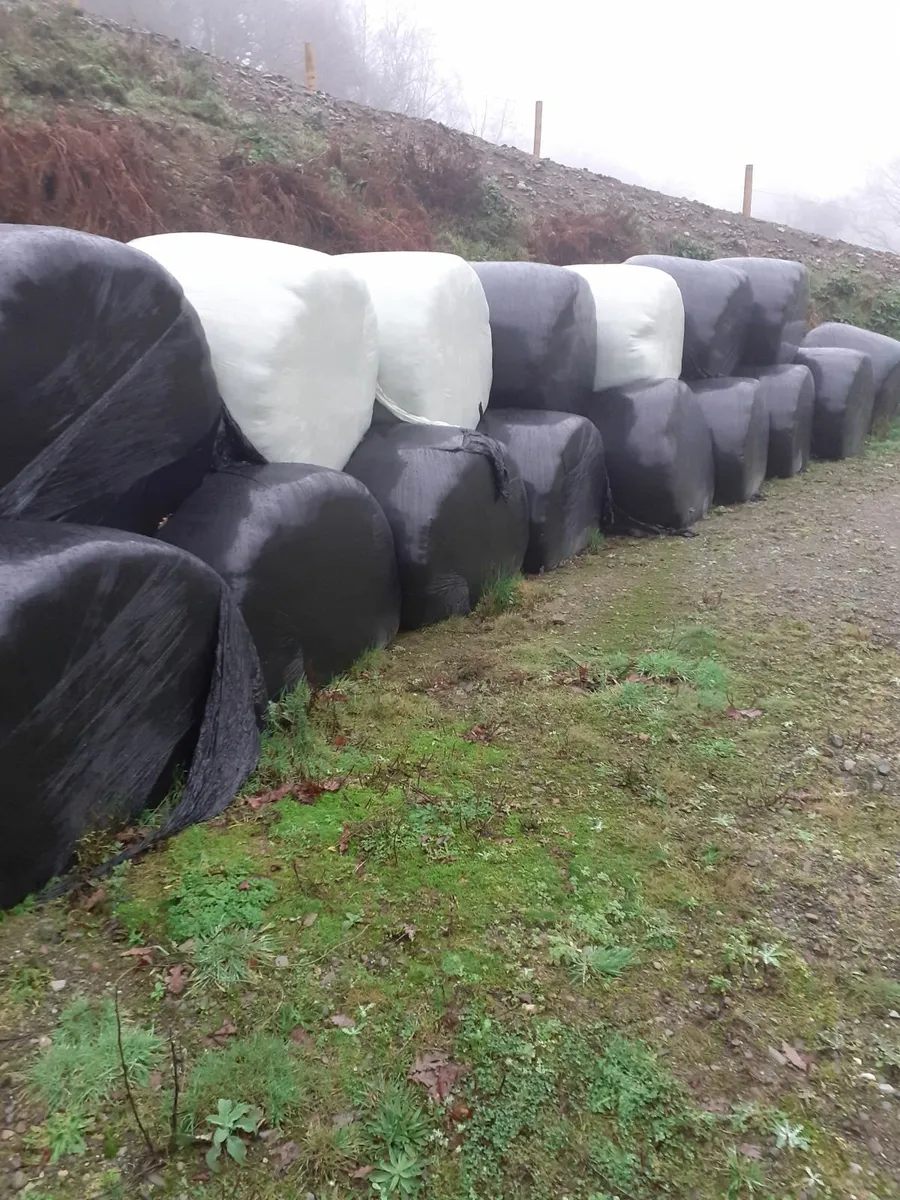 Organic silage bales - Image 3