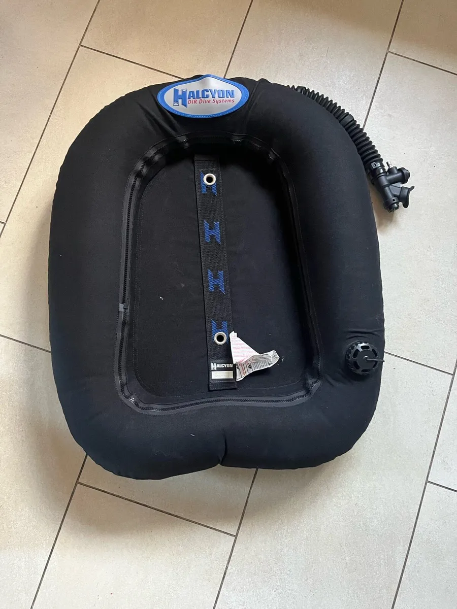 Halcyon wing - Image 2