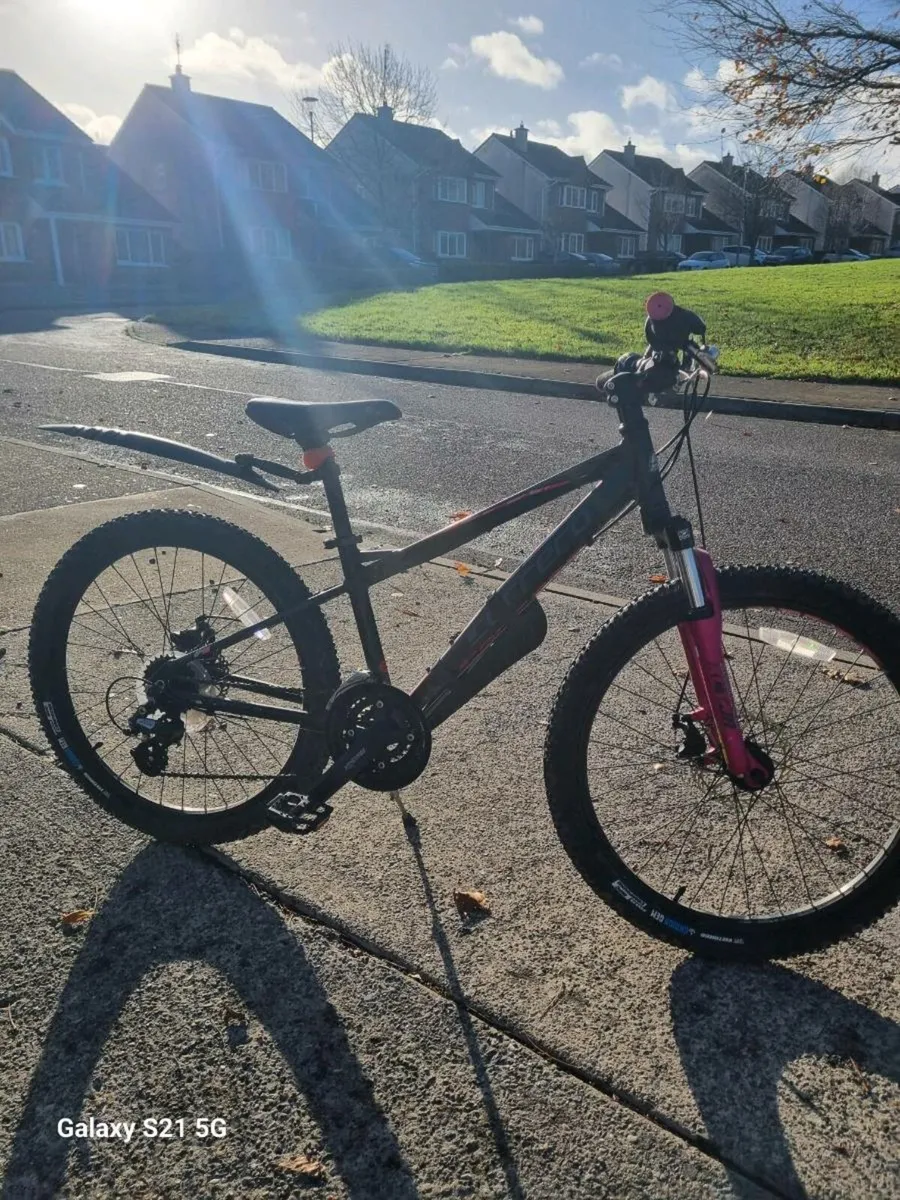 Mountain bike - Image 1