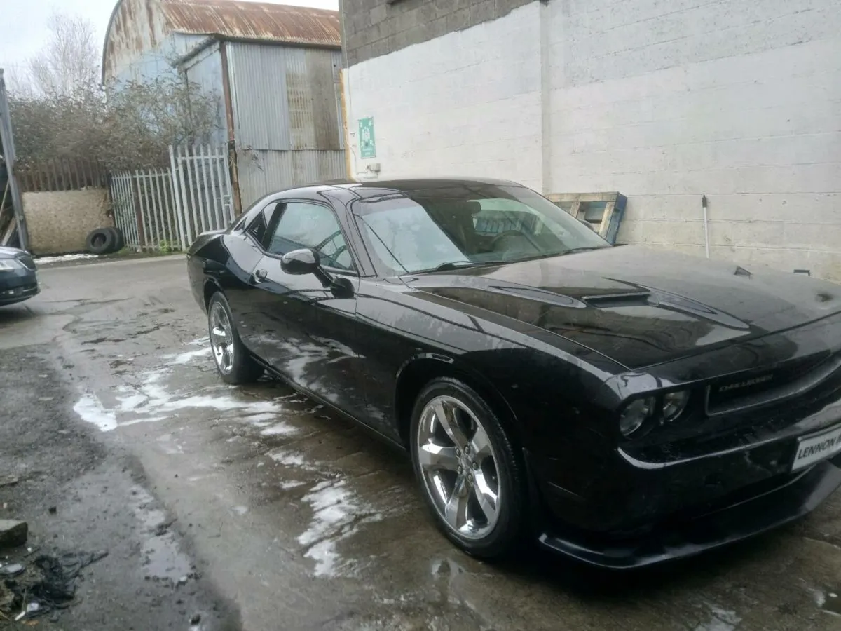 DODGE CHALLENGER POLISH REGISTERED - Image 3