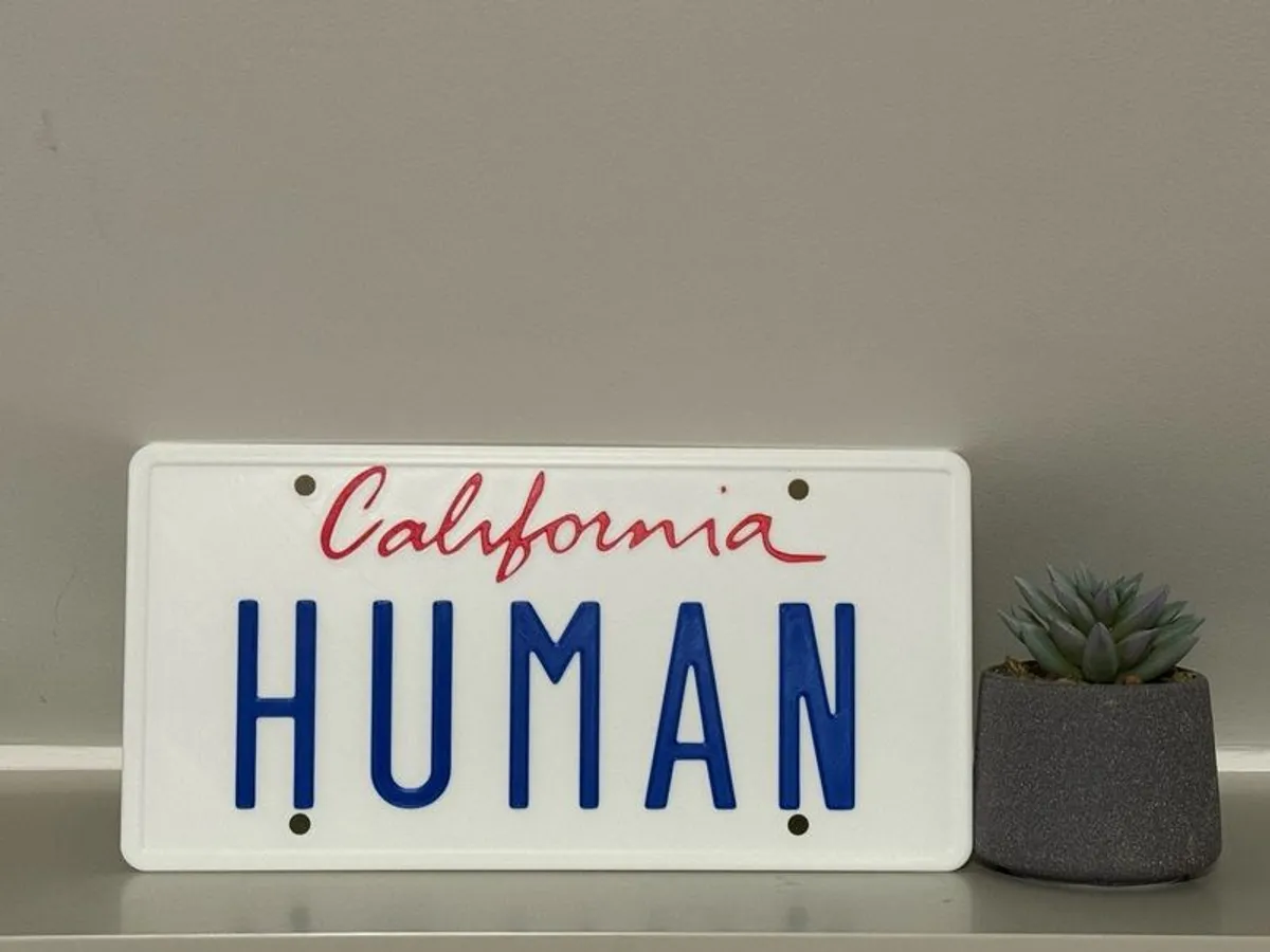 Daft Punk 1987 Ferrari 412 License plate - Image 1