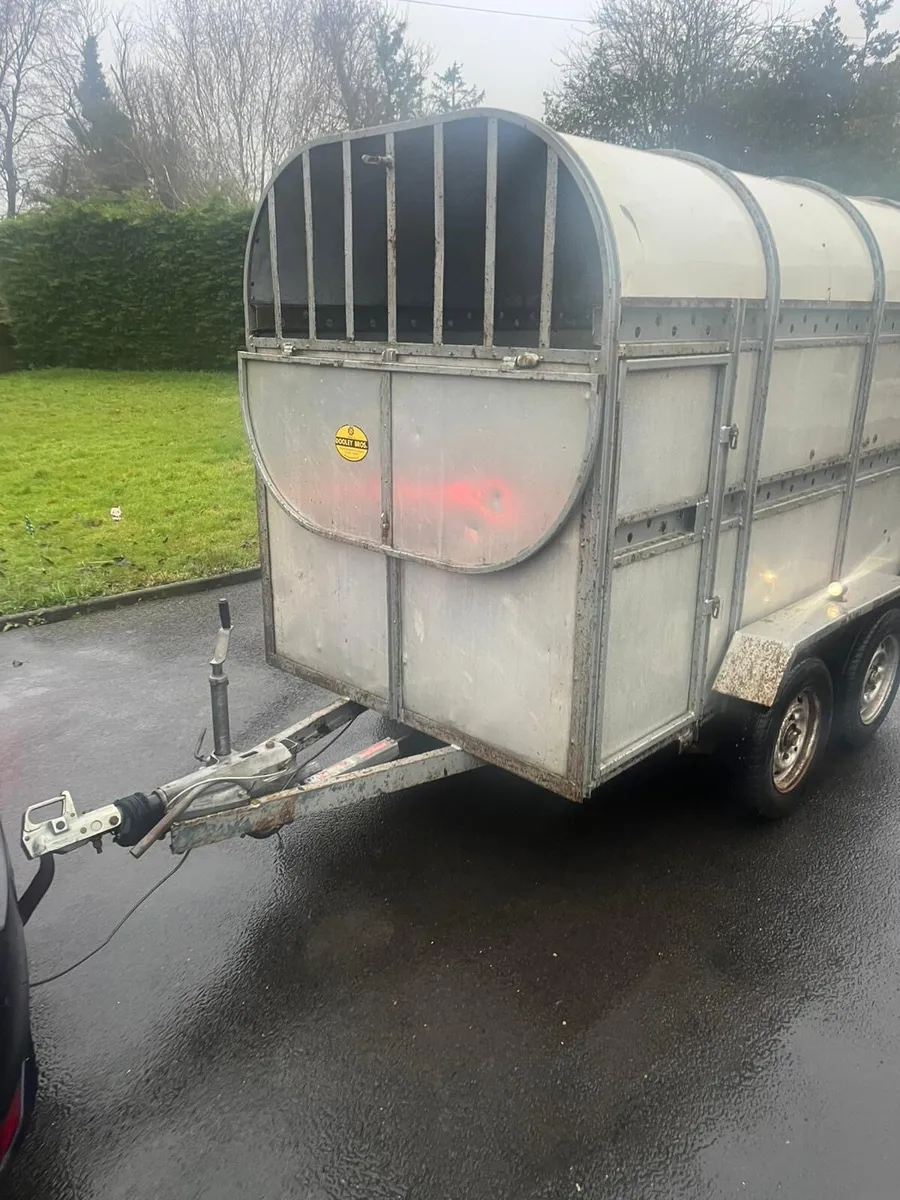 Dooley cattle trailer - Image 2