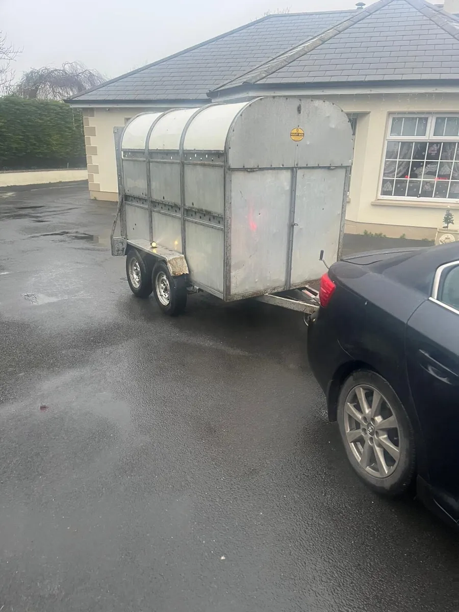 Dooley cattle trailer - Image 3