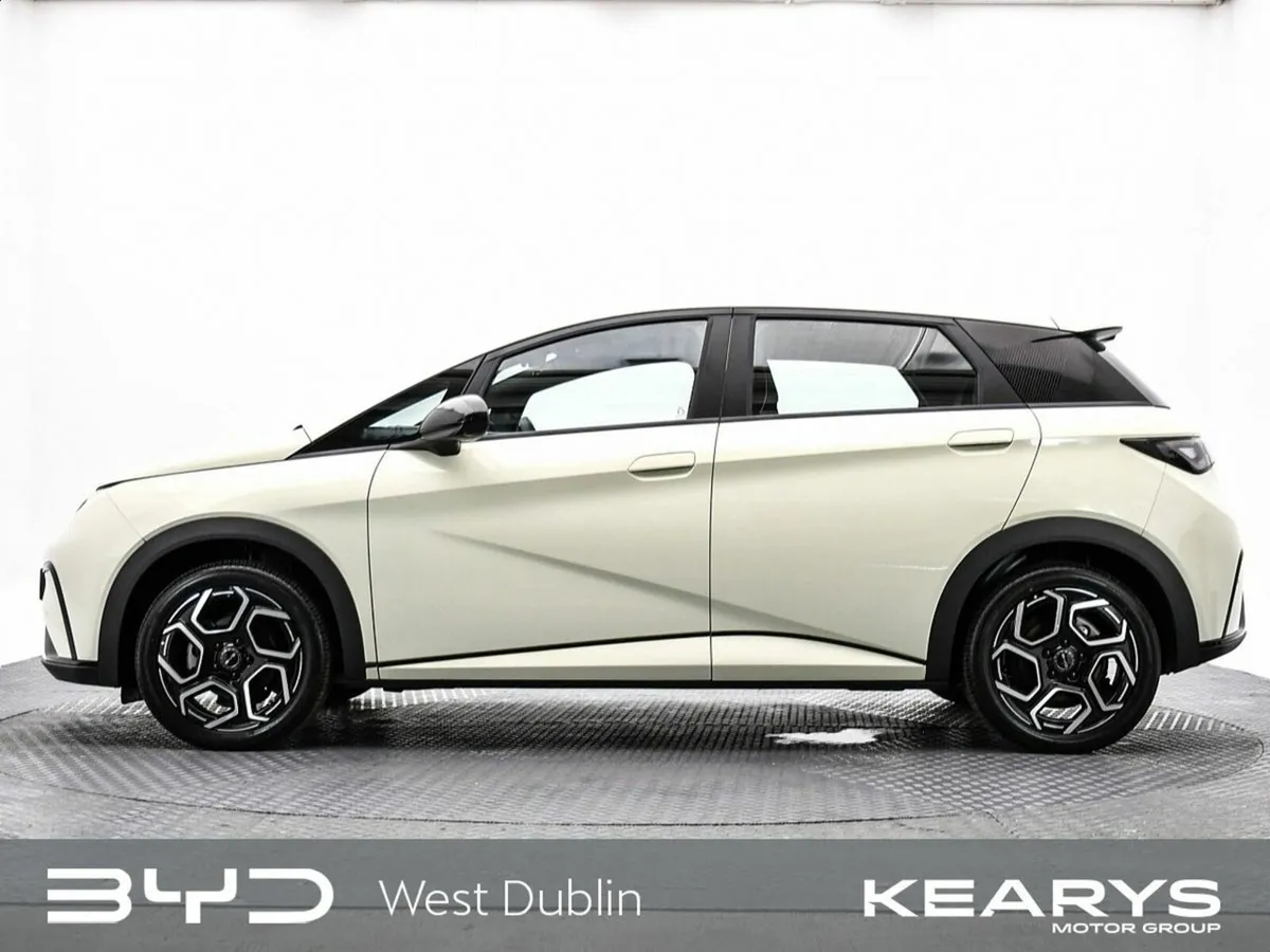 BYD DOLPHIN Order your 261 Dolphin Comfort Cream t - Image 4