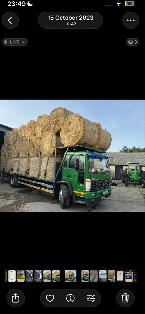 Straw and hay