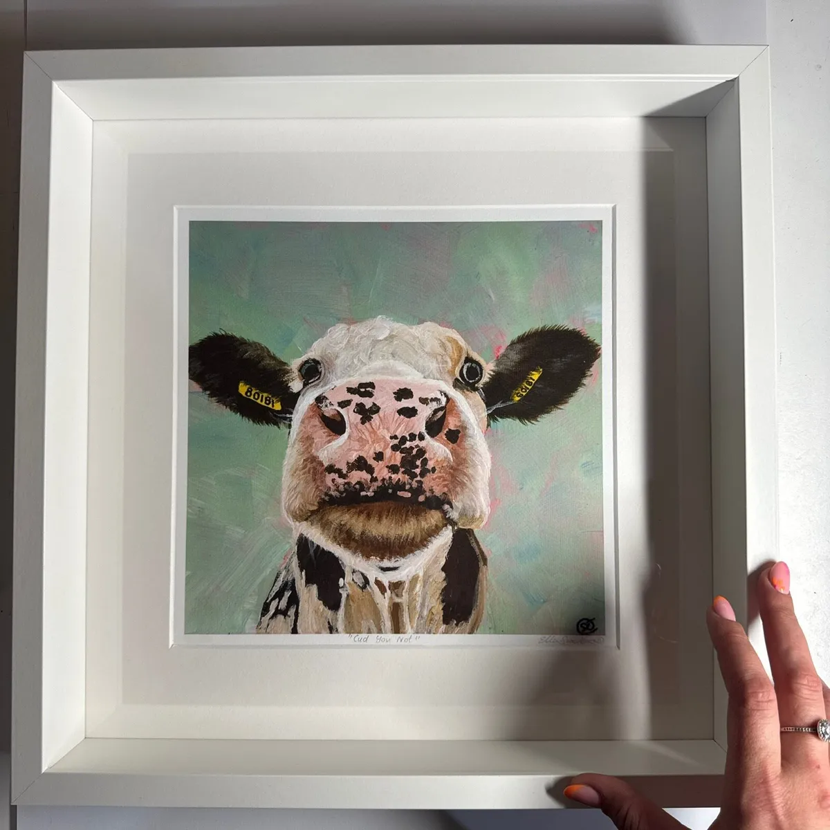 Cow Limited Edition Prints - Image 2