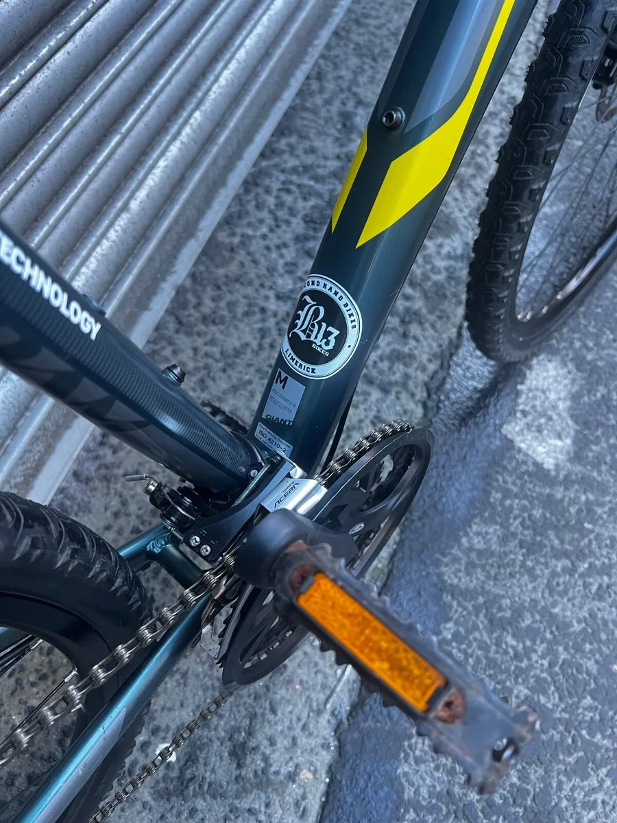 Giant Roam - Image 2