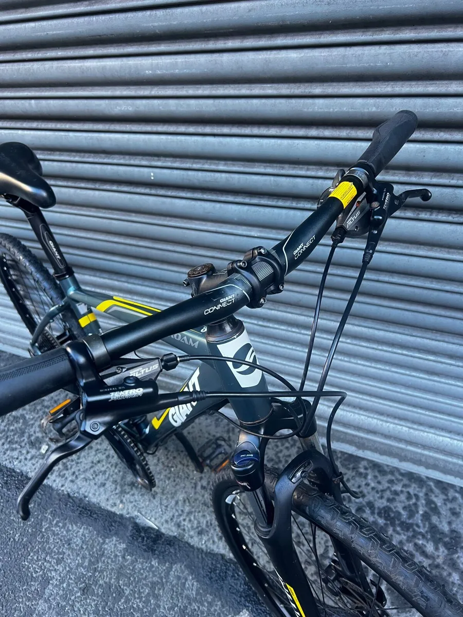 Giant Roam - Image 3