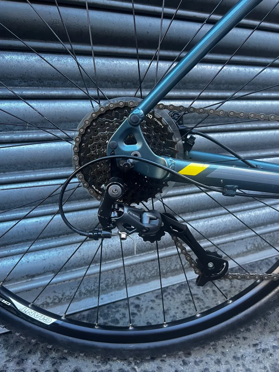 Giant Roam - Image 4