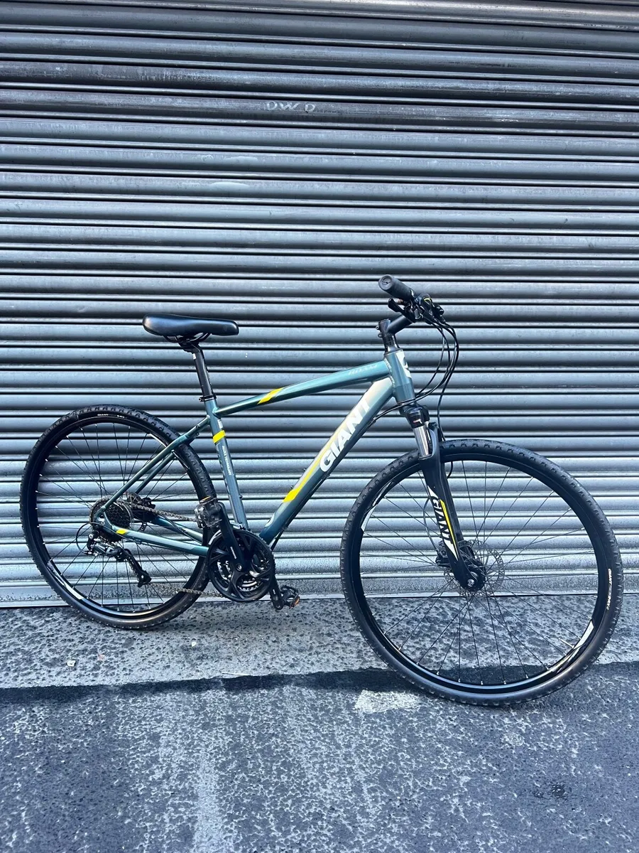 Giant Roam - Image 1