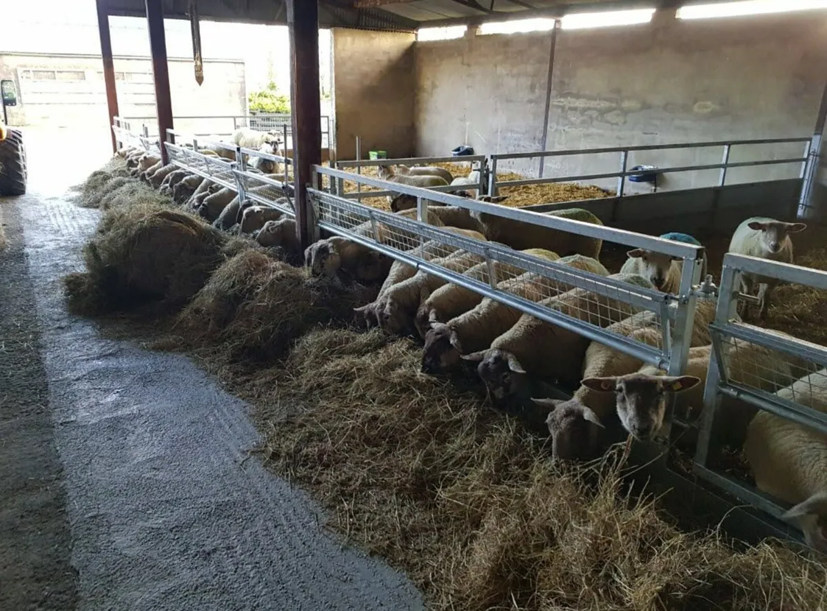 Sheep winter Housing, walkthrough - Image 1