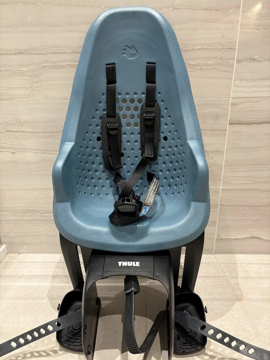 Thule Yepp 2 Maxi Rack Mounted Child Seat - Image 1