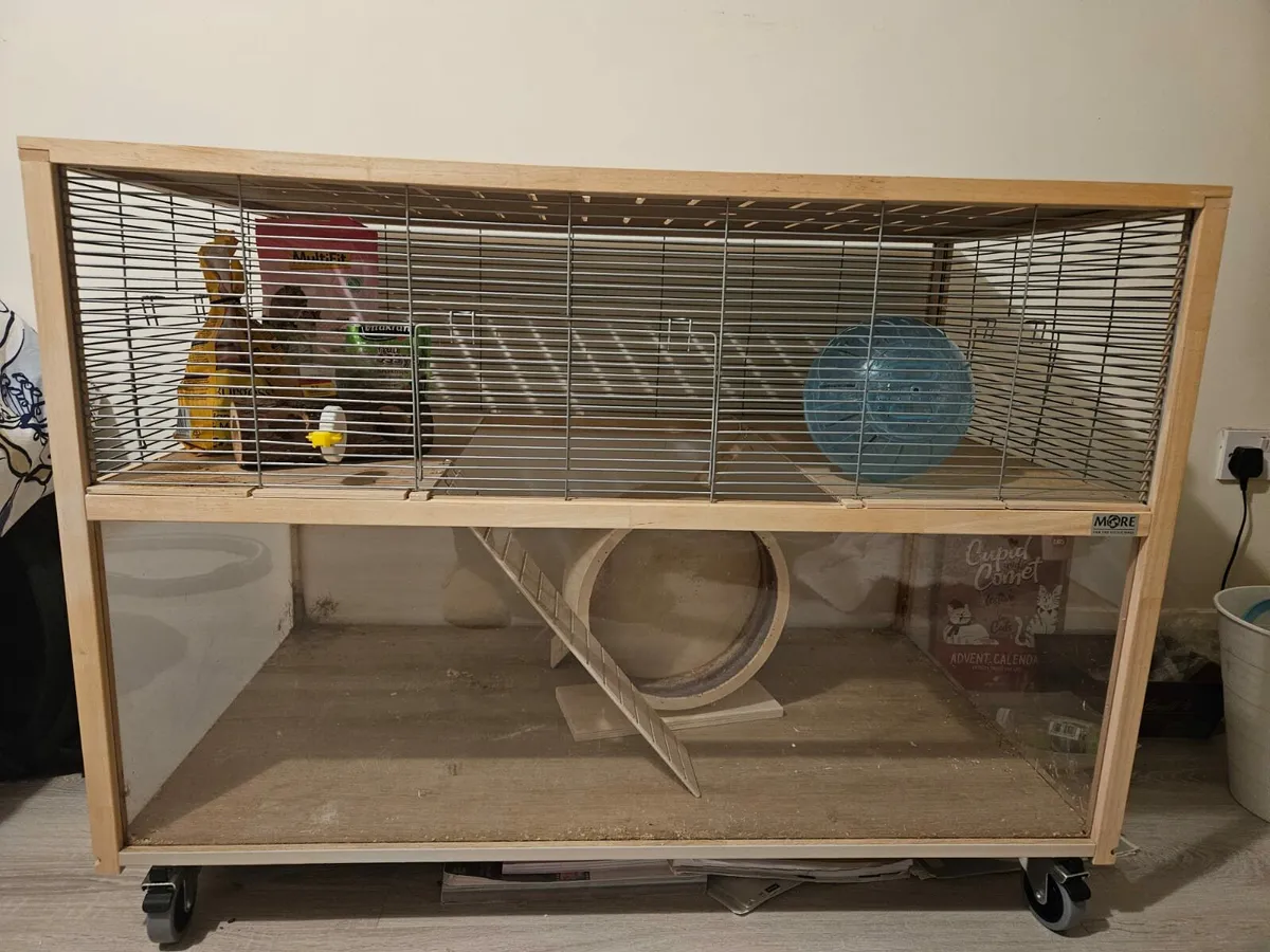 Hamster cage - Image 1